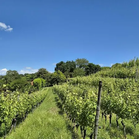 Casa Margherita *